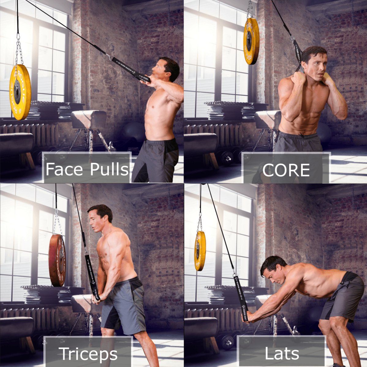 Pulley System - Vikingstrength