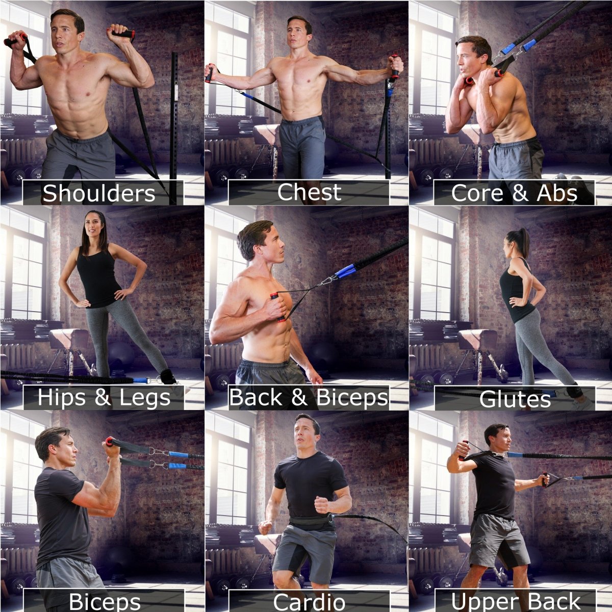 Total Body System - Vikingstrength Norge