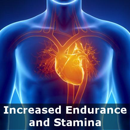 Workout Mask VOL. 3 - Vikingstrength Norge